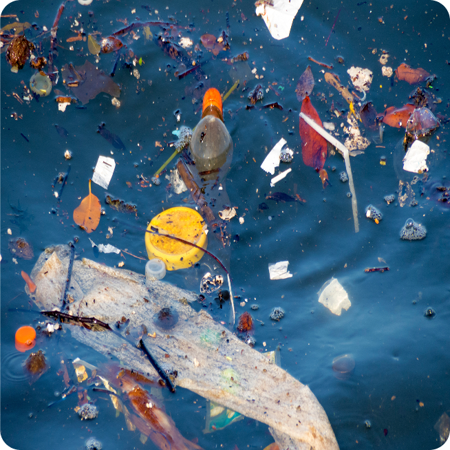 Mikroplastik