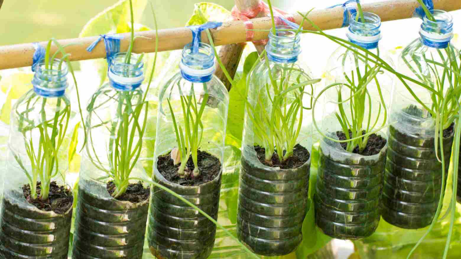 Repurpose